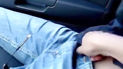 Com O Primo Em Viagem De Carro Para Paraiba